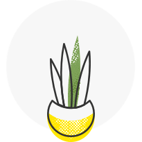 Plant Leasing