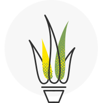 Plant Service