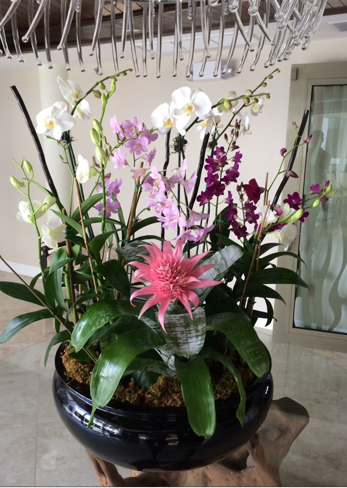 See our Flowers