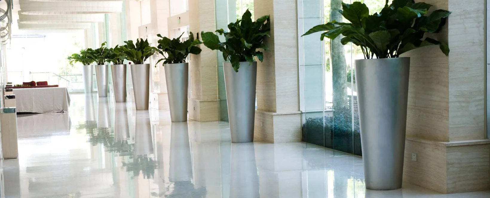 Office plant leasing service Miami South Florida